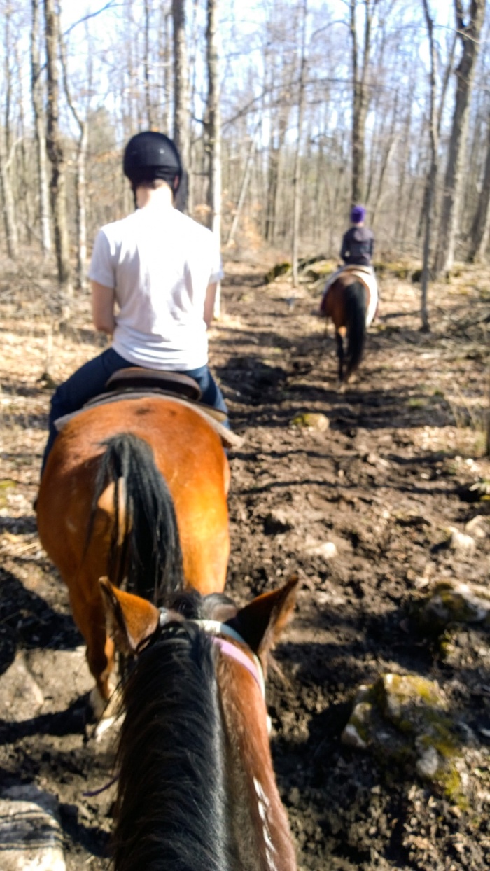horseback_riding_wildwood_manor_ranch_april_2015_9